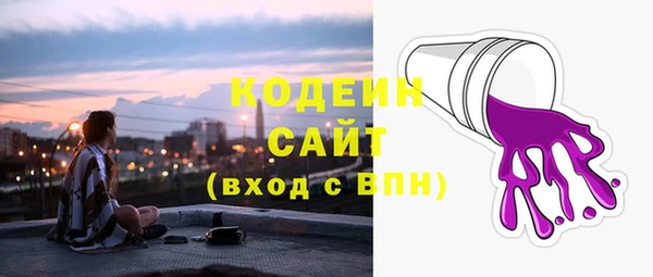 мдпв Осинники