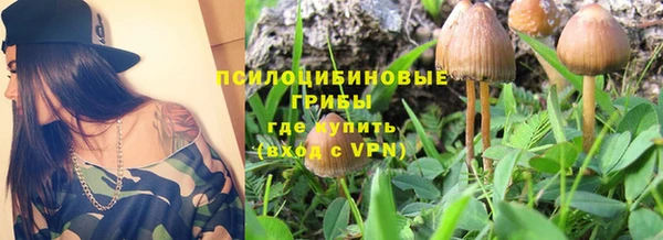 мдпв Осинники