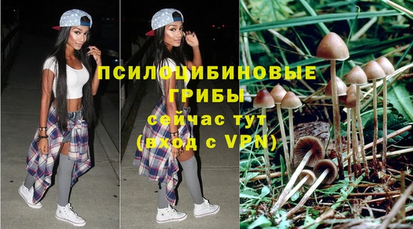 мдпв Осинники
