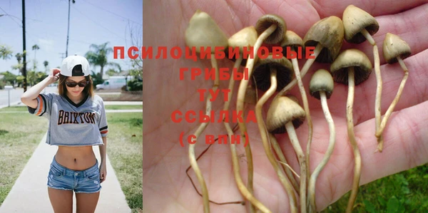 а пвп мука Осташков
