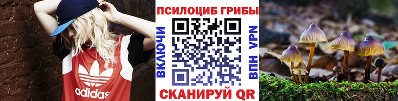 Псилоцибиновые грибы Psilocybe Струнино